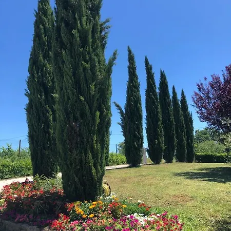 Il Gufo Del Chianti Appartement