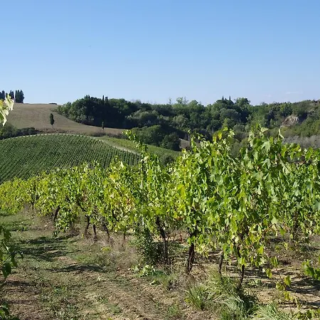 Appartement Il Gufo Del Chianti Montespertoli