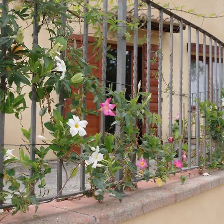 Il Gufo Del Chianti