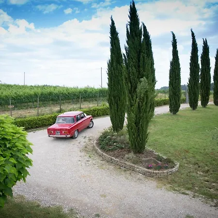 Il Gufo Del Chianti